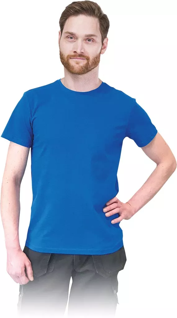 Niebieski męski T-shirt o dopasowanym kroju slim, wykonany w 100% z bawełny. Posiada krótki rękaw i okrągły dekolt.